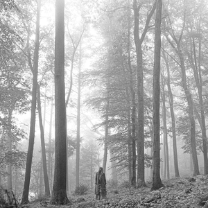 folklore Stolen Lullabies vinyl